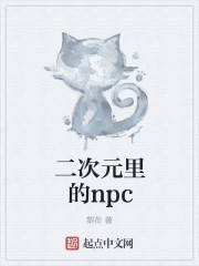 二次元里的npc